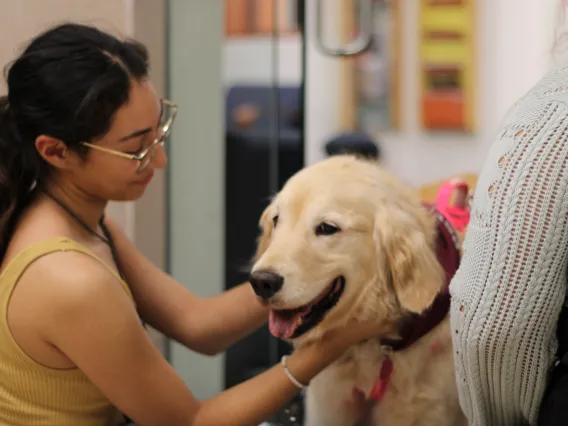 Student petting sally on the neck