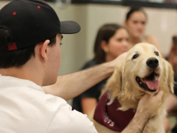 Student petting Sally