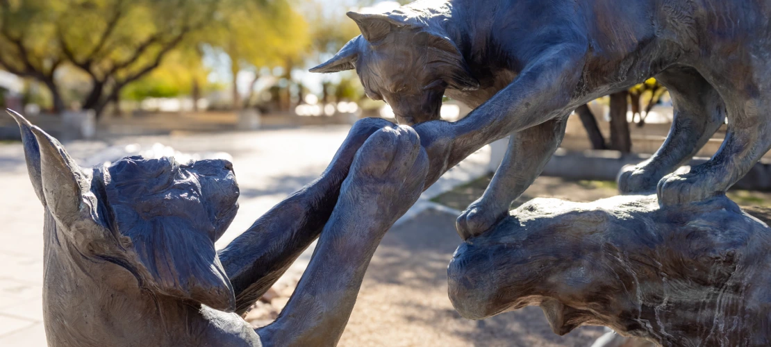 wildcat statue high fiving each other