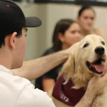 Student petting Sally